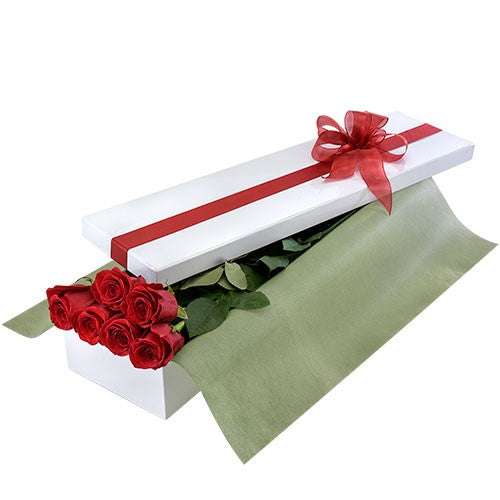 Presentation Box of  Roses