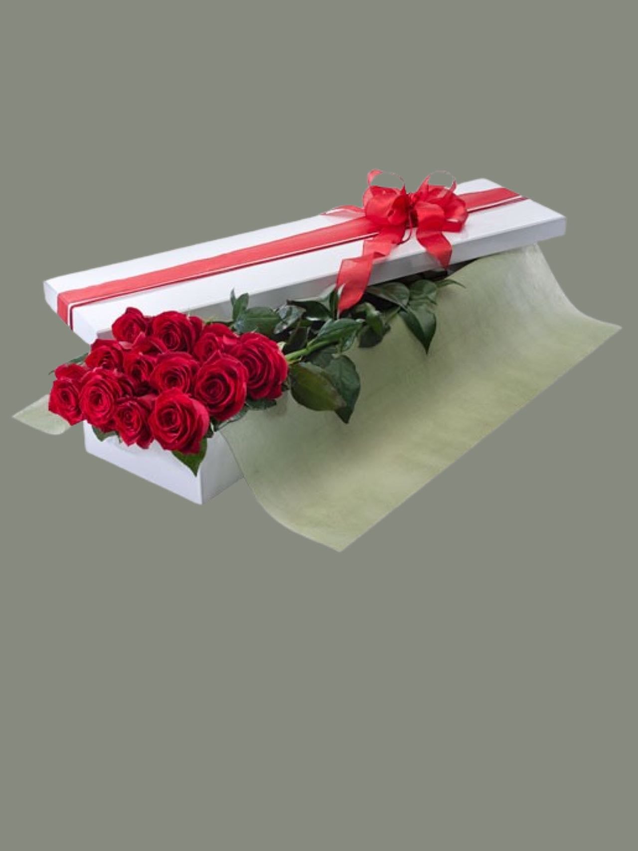 Presentation Box of  Roses